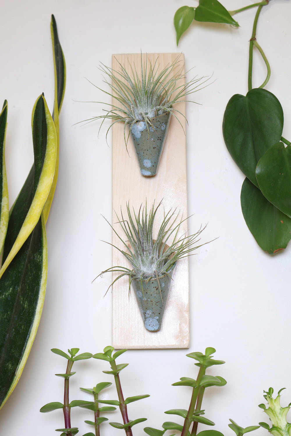 Double Ceramic Wall Planter