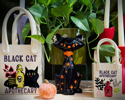 Black Cat Apothecary Tote Bag Vase Featuring Handpainted Artwork