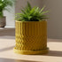Rosebud HomeGoods Pots & Planters Minimalist Zig-Zag Planter