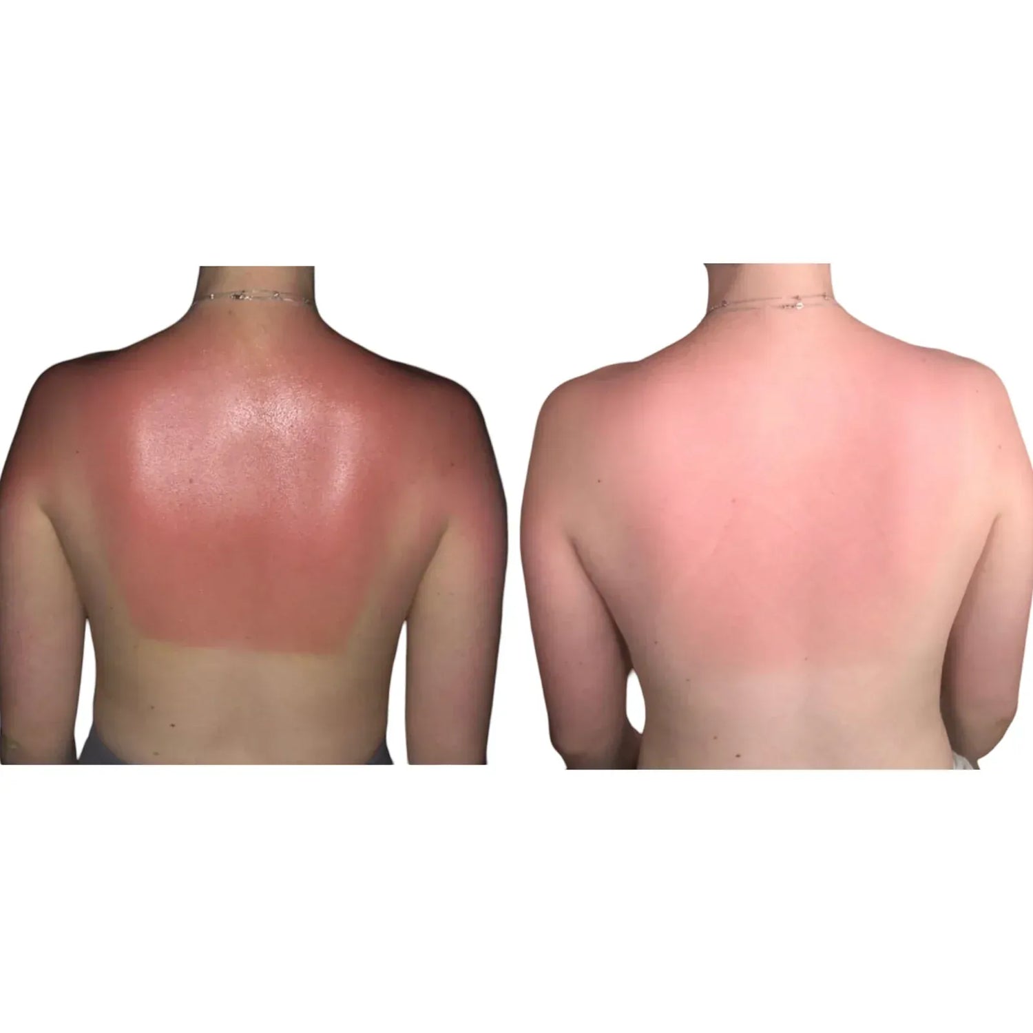 Renew + Repair Oil 2oz