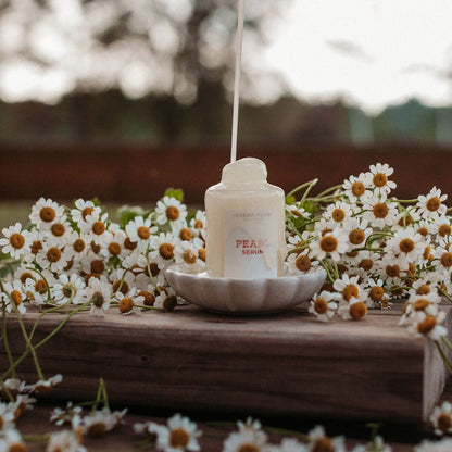urban farm collection Pearl Serum