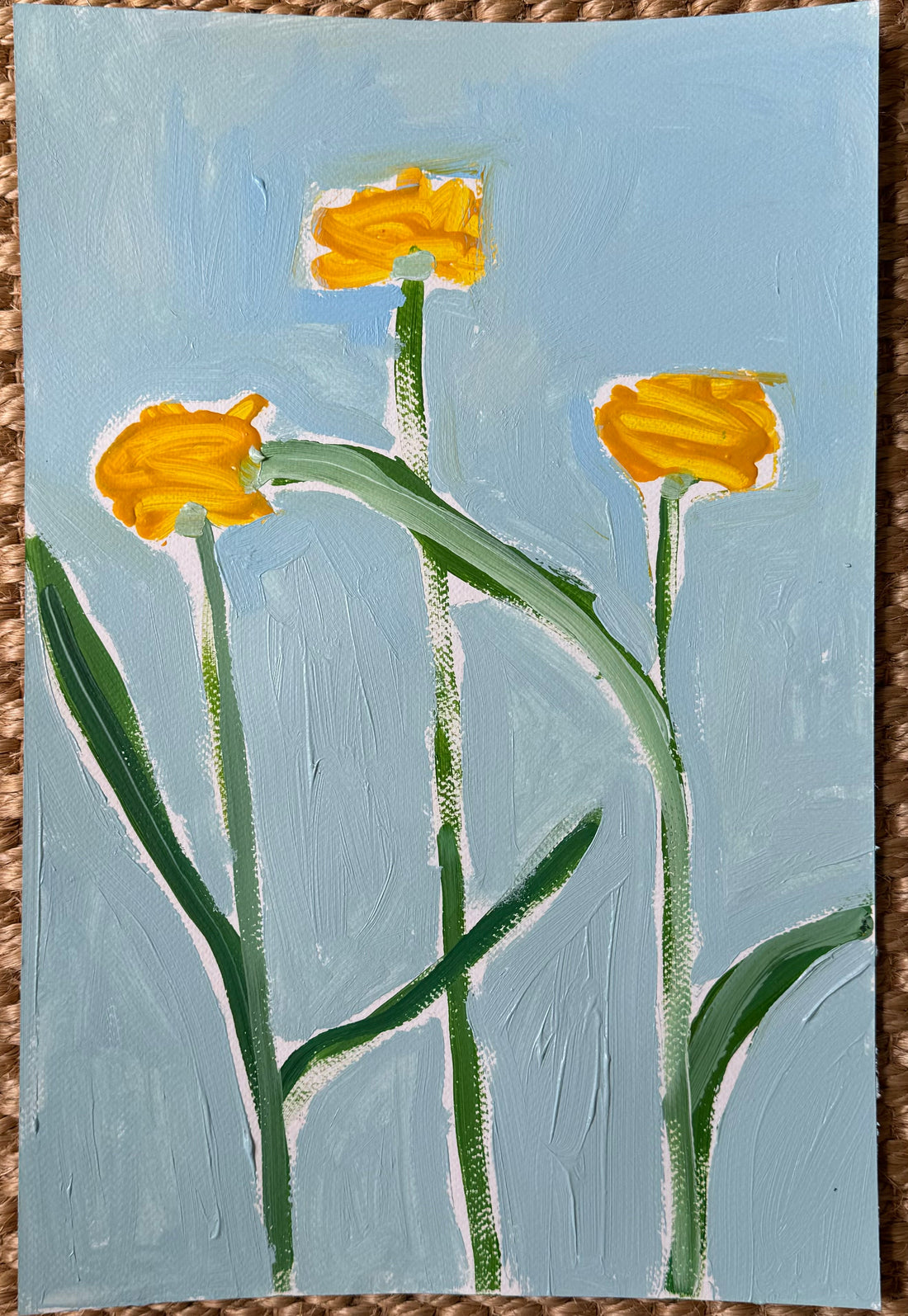Daisies