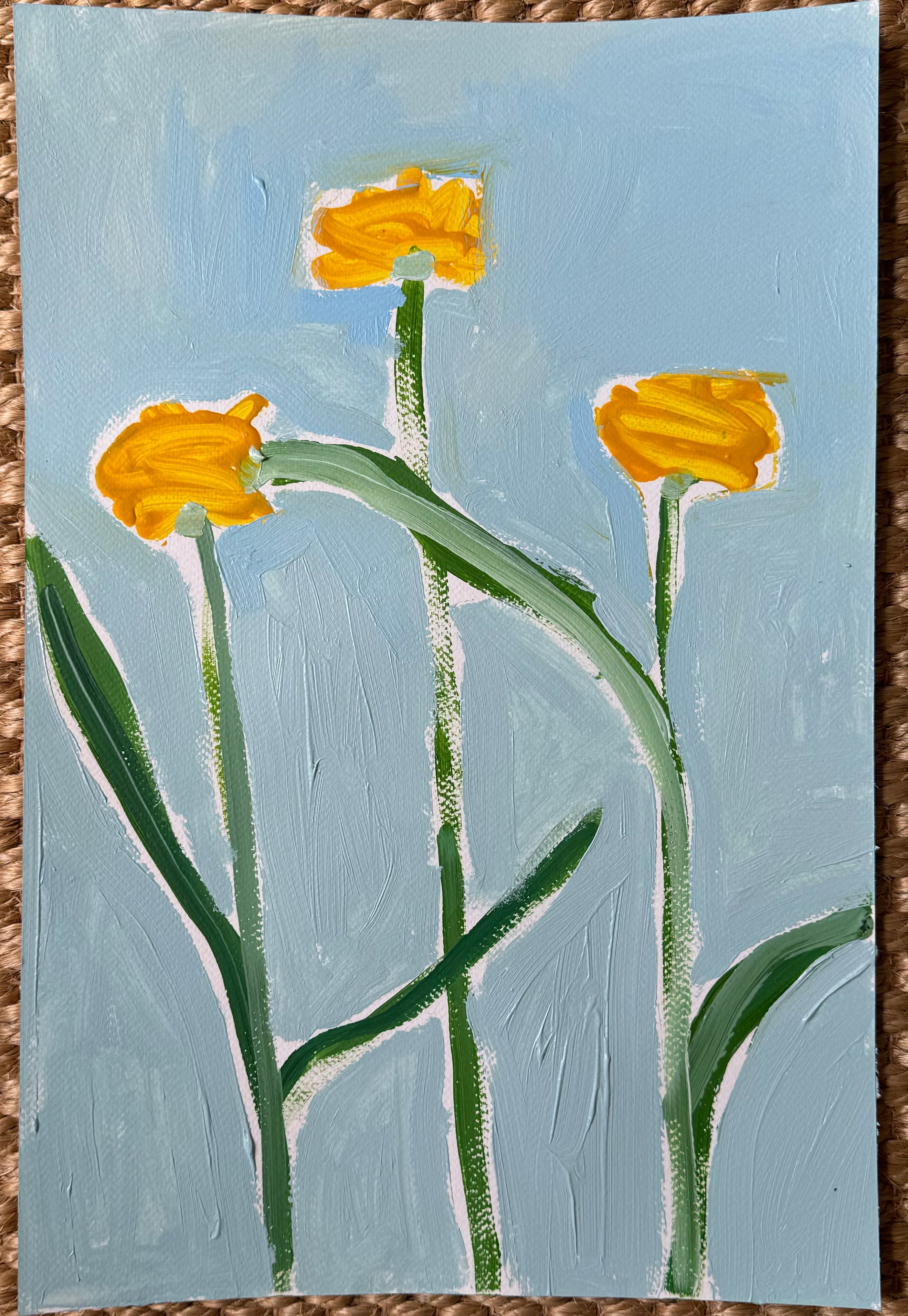 Daisies