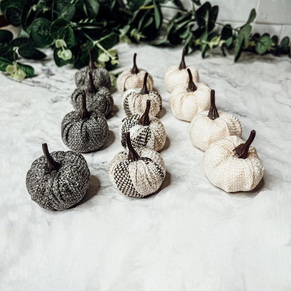 Mini Pumpkins 12pk - My American Goods