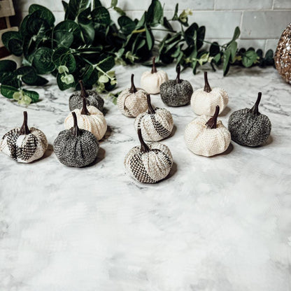 Mini Pumpkins 12pk - My American Goods