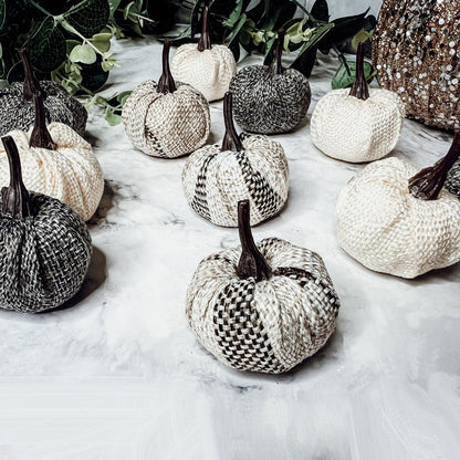 Mini Pumpkins 12pk - My American Goods