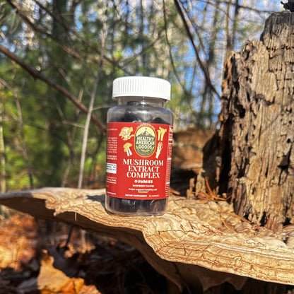 Bottle of mushroom extract supplement on a tree stump with a forest background