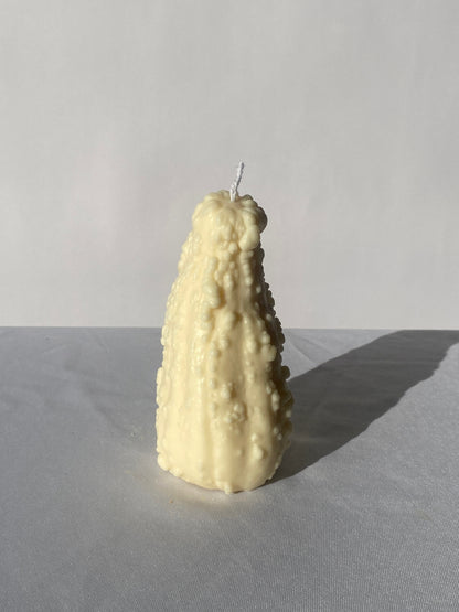 Crookneck Gourd Candle