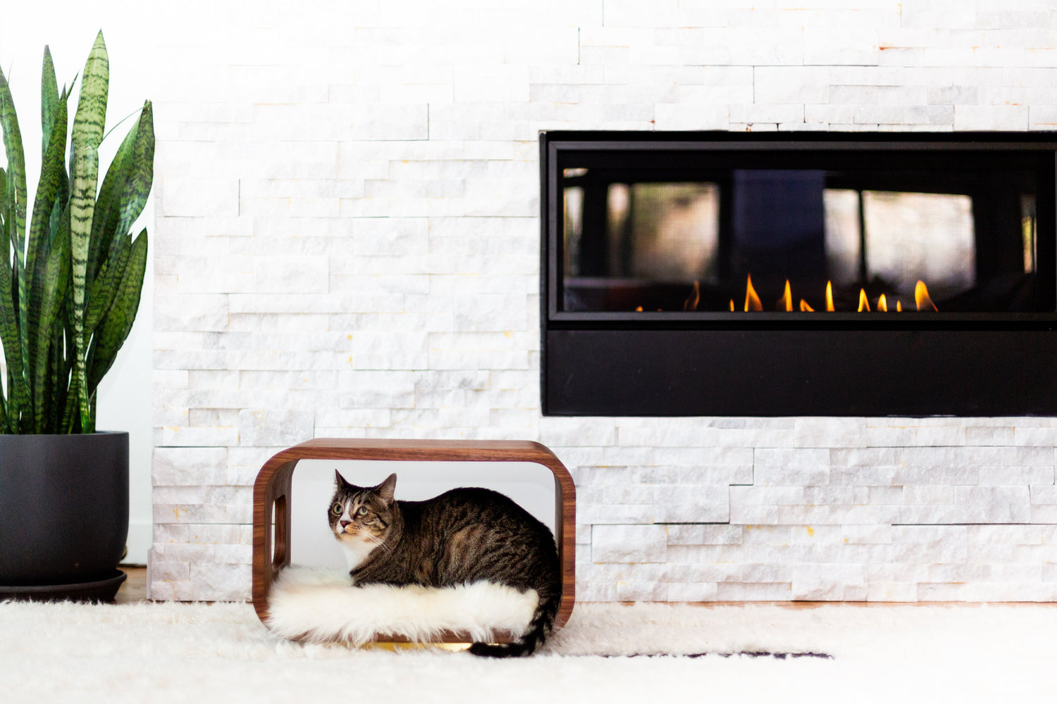 The LUNA Bed in Walnut - My American Goods