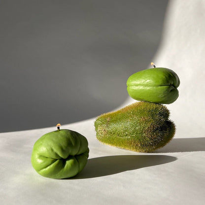 Chayote Squash Candle