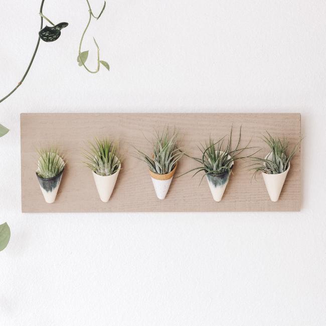 Carter + Rose, Horizontal Wall Planter - My American Goods