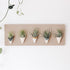 Carter + Rose, Horizontal Wall Planter - My American Goods