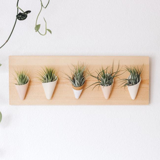 Carter + Rose, Horizontal Wall Planter - My American Goods