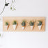 Carter + Rose, Horizontal Wall Planter - My American Goods