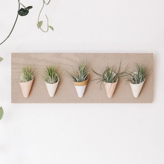 Carter + Rose, Horizontal Wall Planter - My American Goods