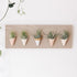 Carter + Rose, Horizontal Wall Planter - My American Goods