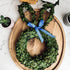 Gia Roma wreath Bunny Wreath Boxwood
