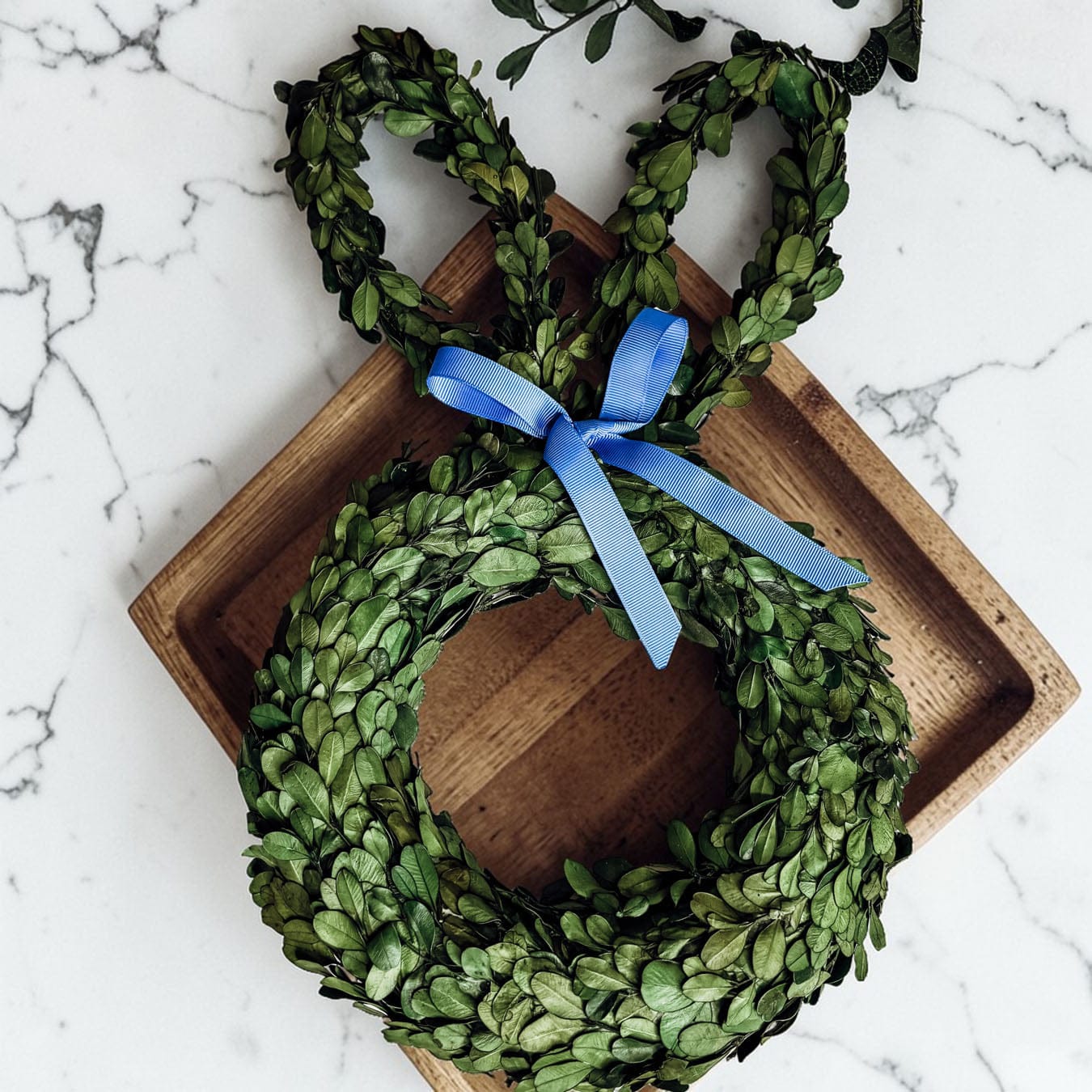 Gia Roma wreath Bunny Wreath Boxwood