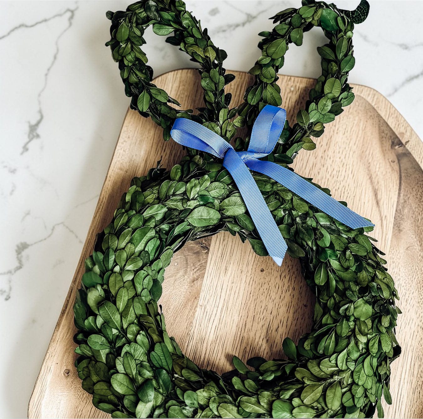 Gia Roma wreath Bunny Wreath Boxwood