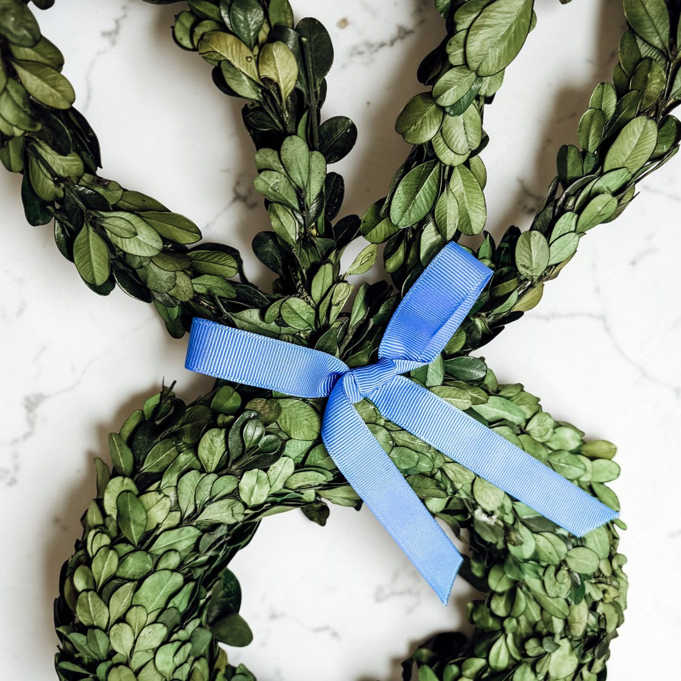 Gia Roma wreath Bunny Wreath Boxwood