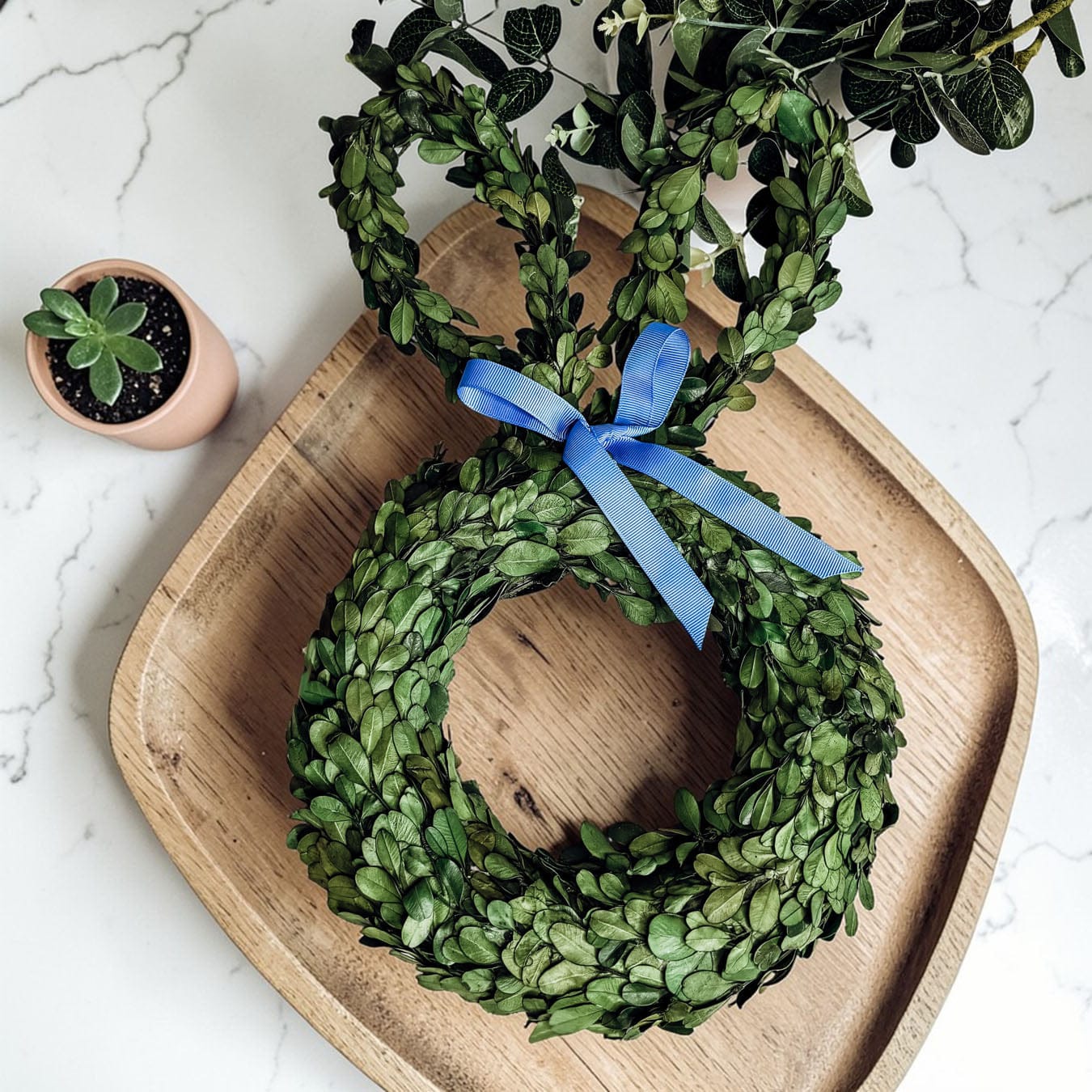 Gia Roma wreath Bunny Wreath Boxwood