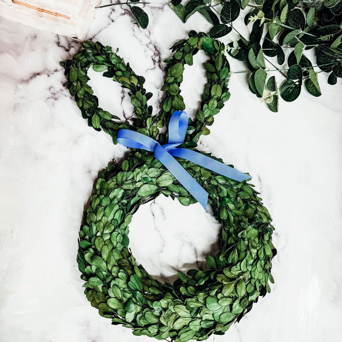 Gia Roma wreath Bunny Wreath Boxwood