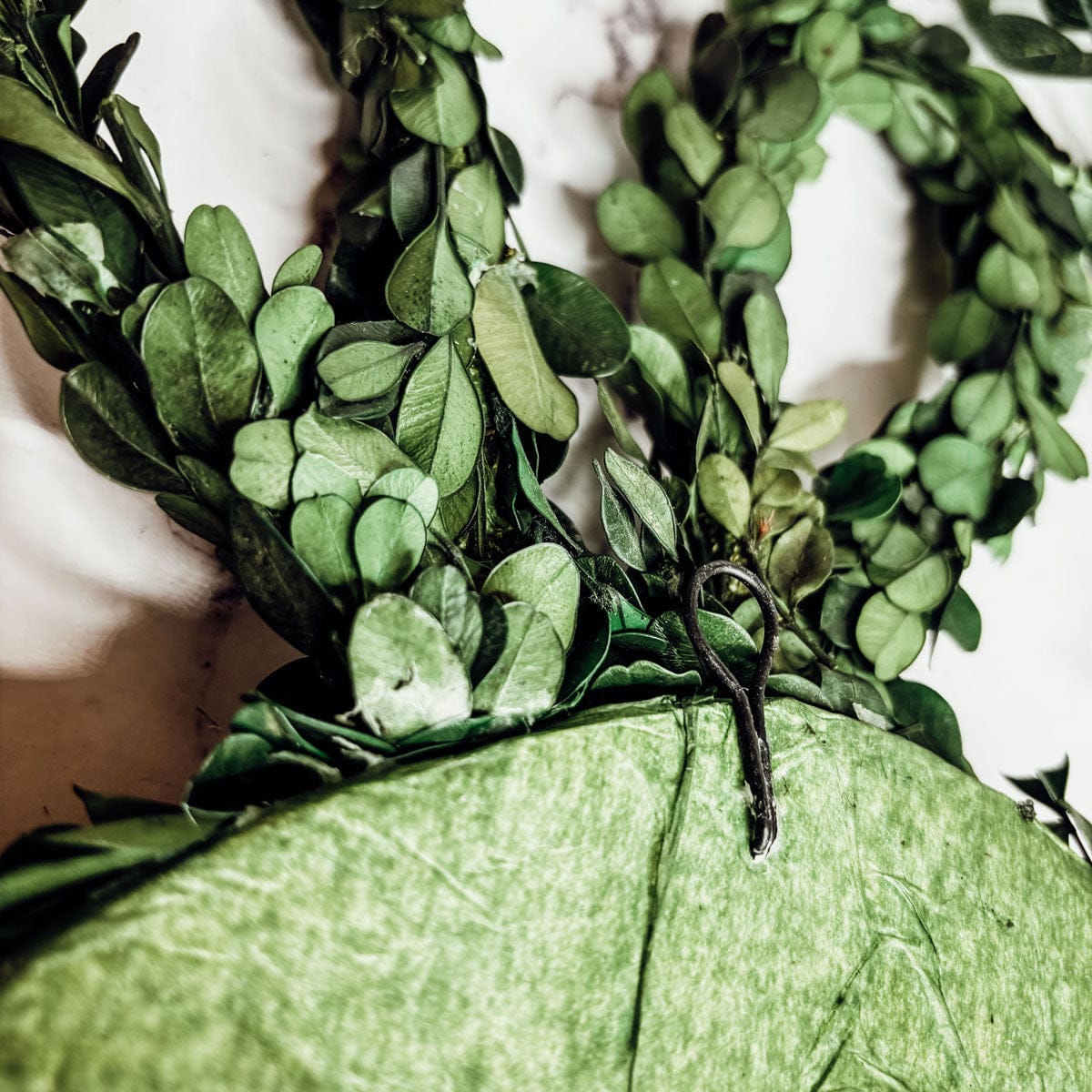 Gia Roma wreath Bunny Wreath Boxwood