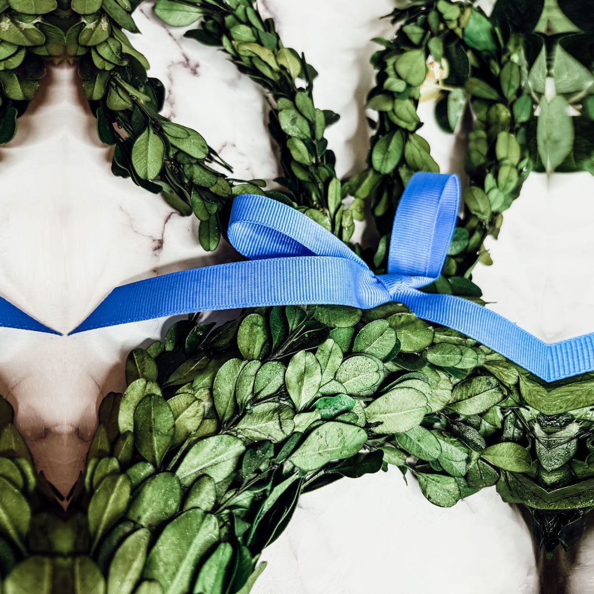 Gia Roma wreath Bunny Wreath Boxwood