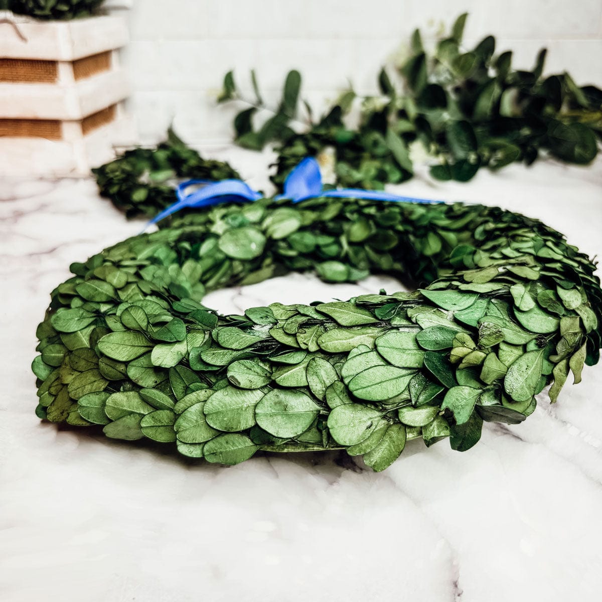 Gia Roma wreath Bunny Wreath Boxwood