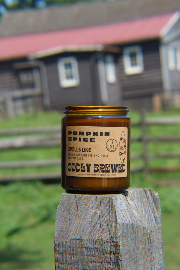 Pumpkin Spice Soy Candle - My American Goods