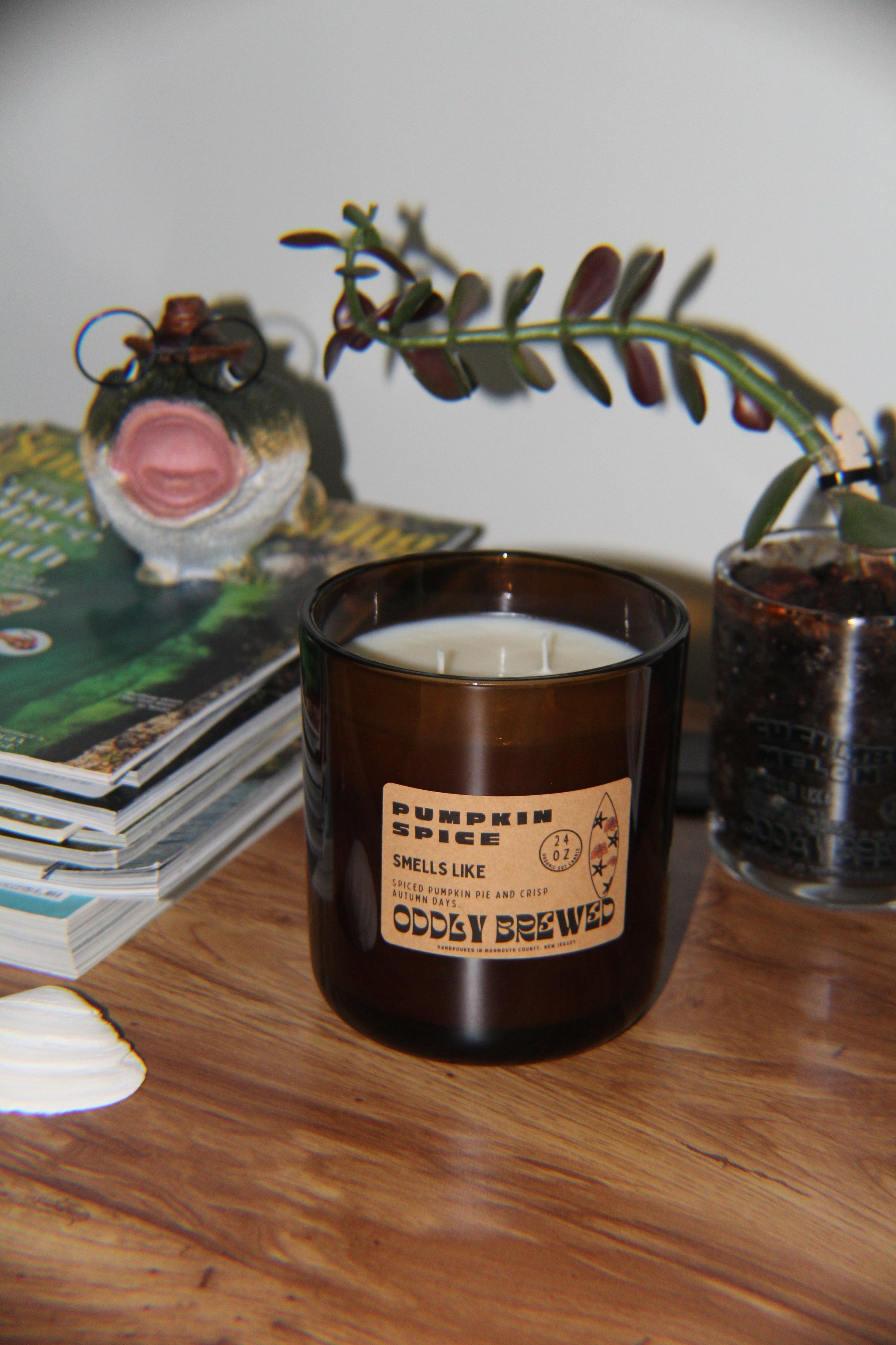 Oddly Brewed Soy candle Pumpkin Spice Soy Candle