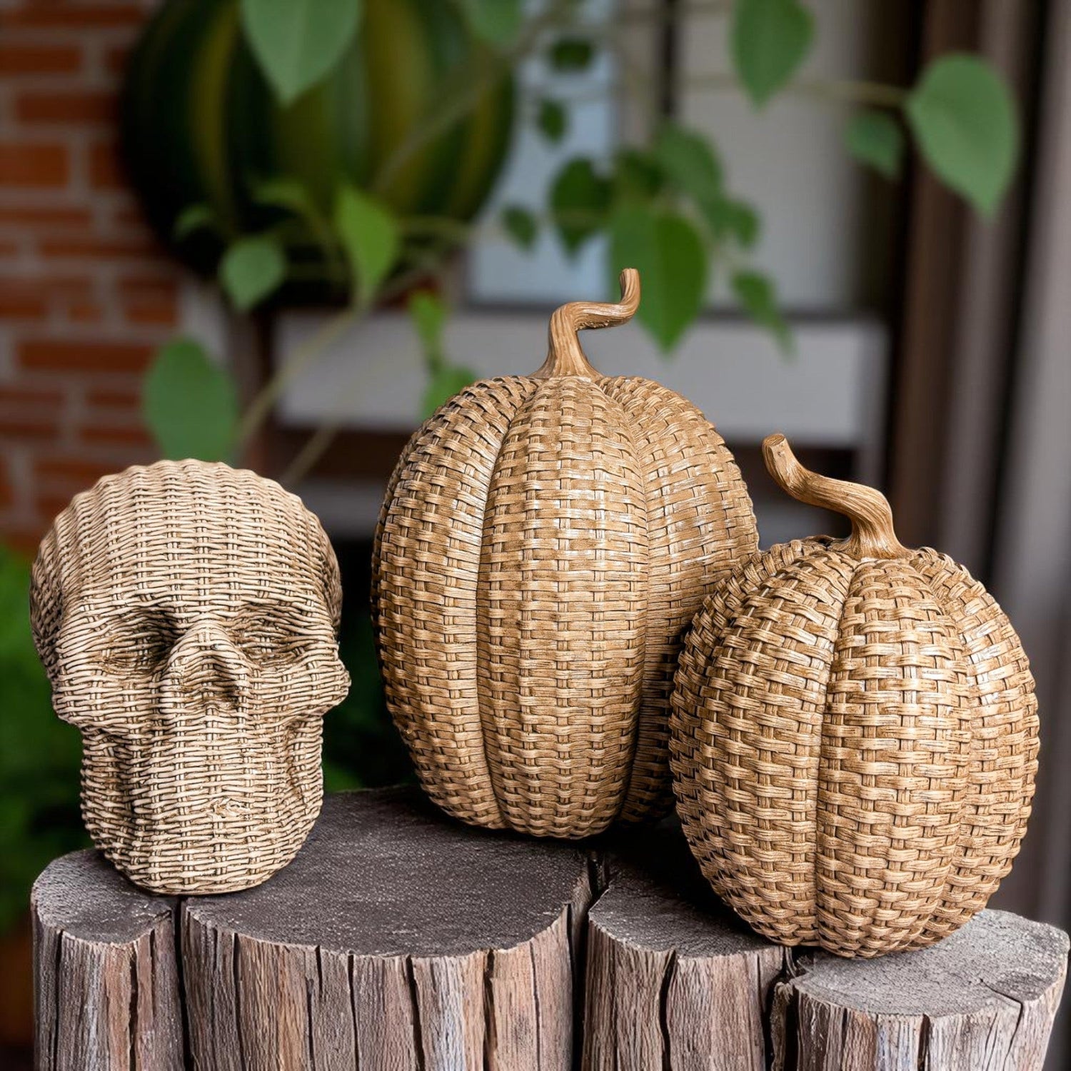 Skull Me Rattan-Style Skull Decor – Natural &amp; White Resin