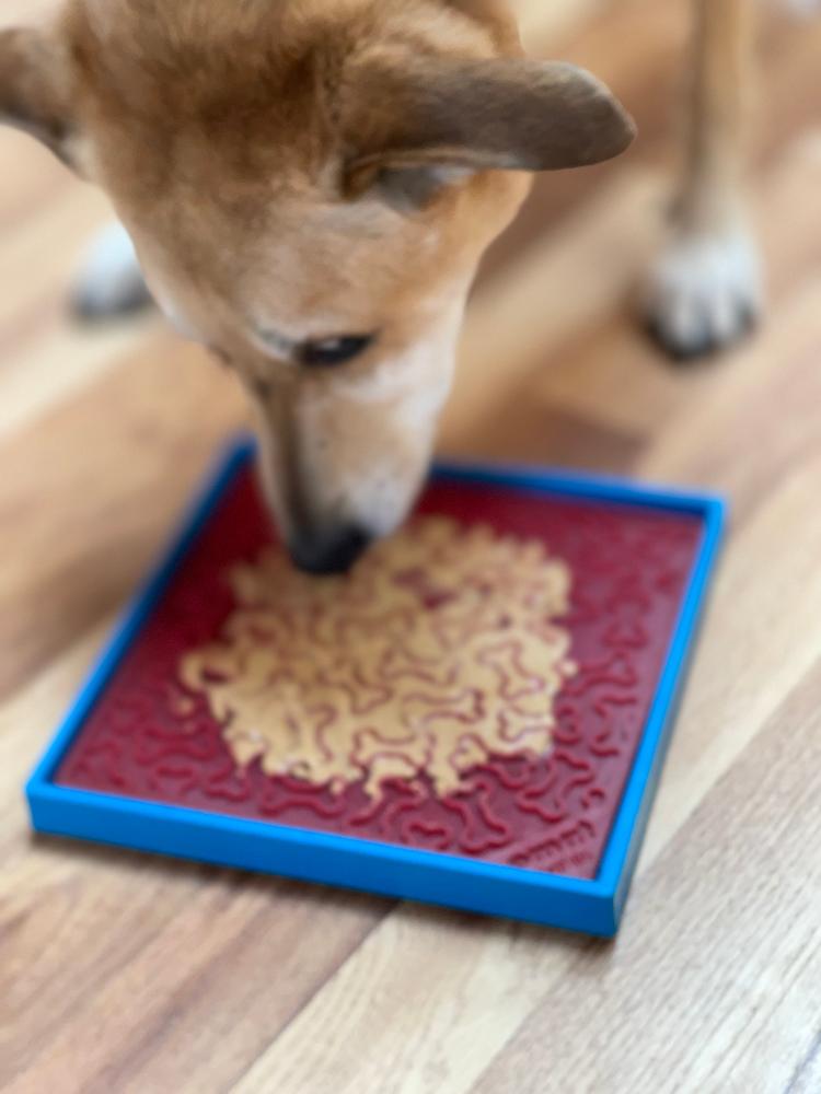 Hold &