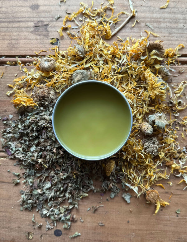 Tattoo Salve | New & Existing | Itchy Skin | Boo Boos - My American Goods