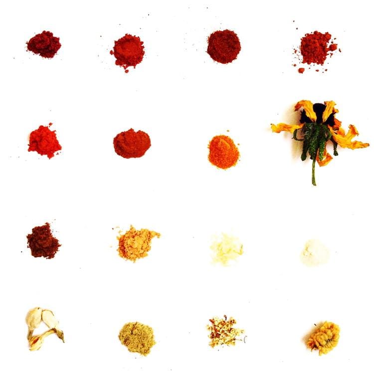 plant makeup Turmeric Balm