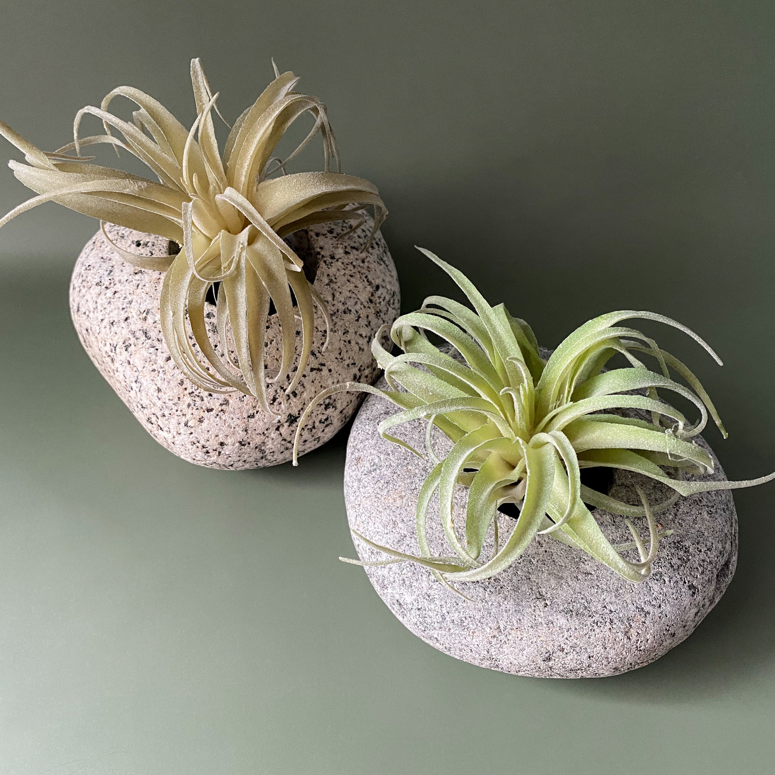 Stone Succulent Planter
