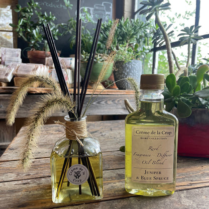 Reed Fragrance - Diffuser, Starter Kit - Juniper &amp; Blue Spruce