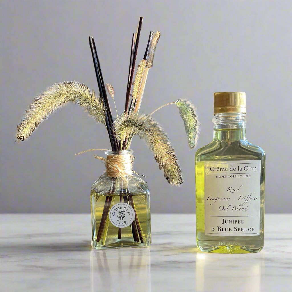 Reed Fragrance - Diffuser, Starter Kit - Juniper &amp; Blue Spruce