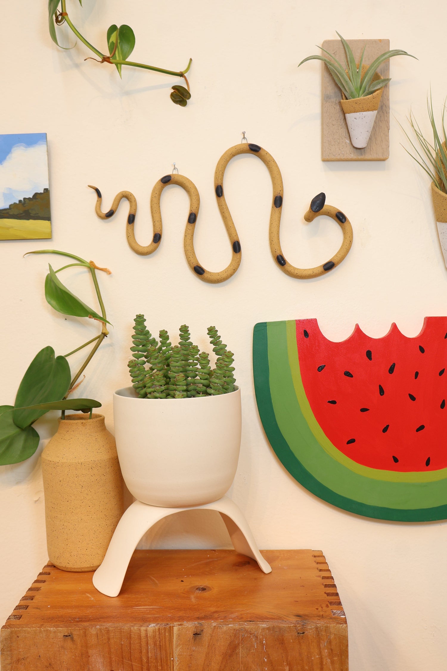 Horizontal Ceramic Wall Snake