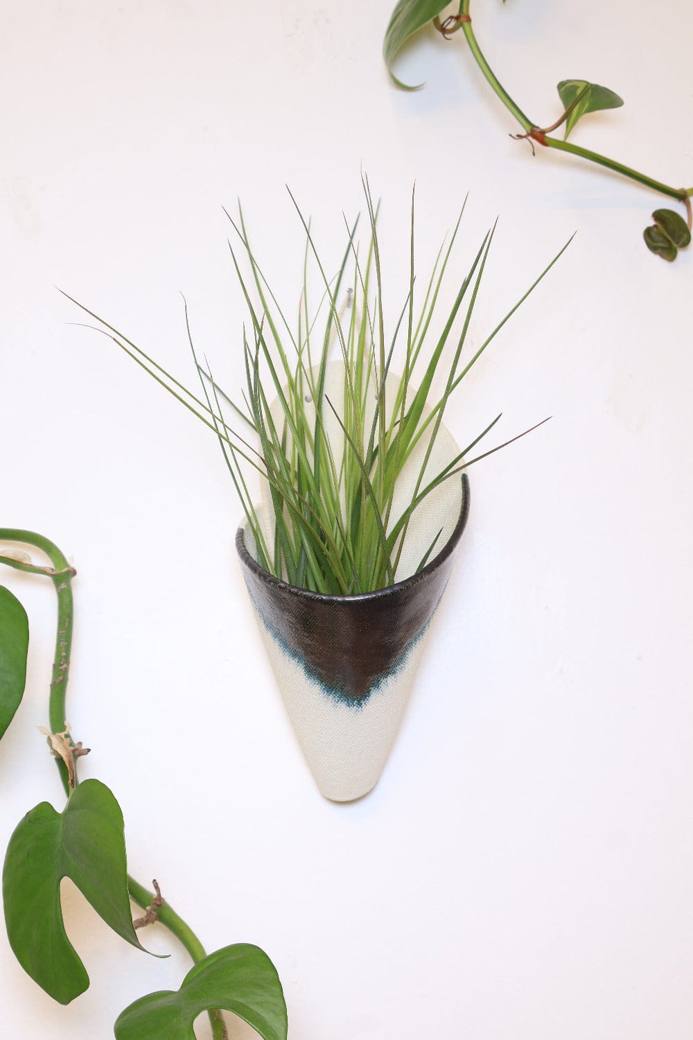 Carter + Rose Indigo / With plant Large Ceramic Wall Planter