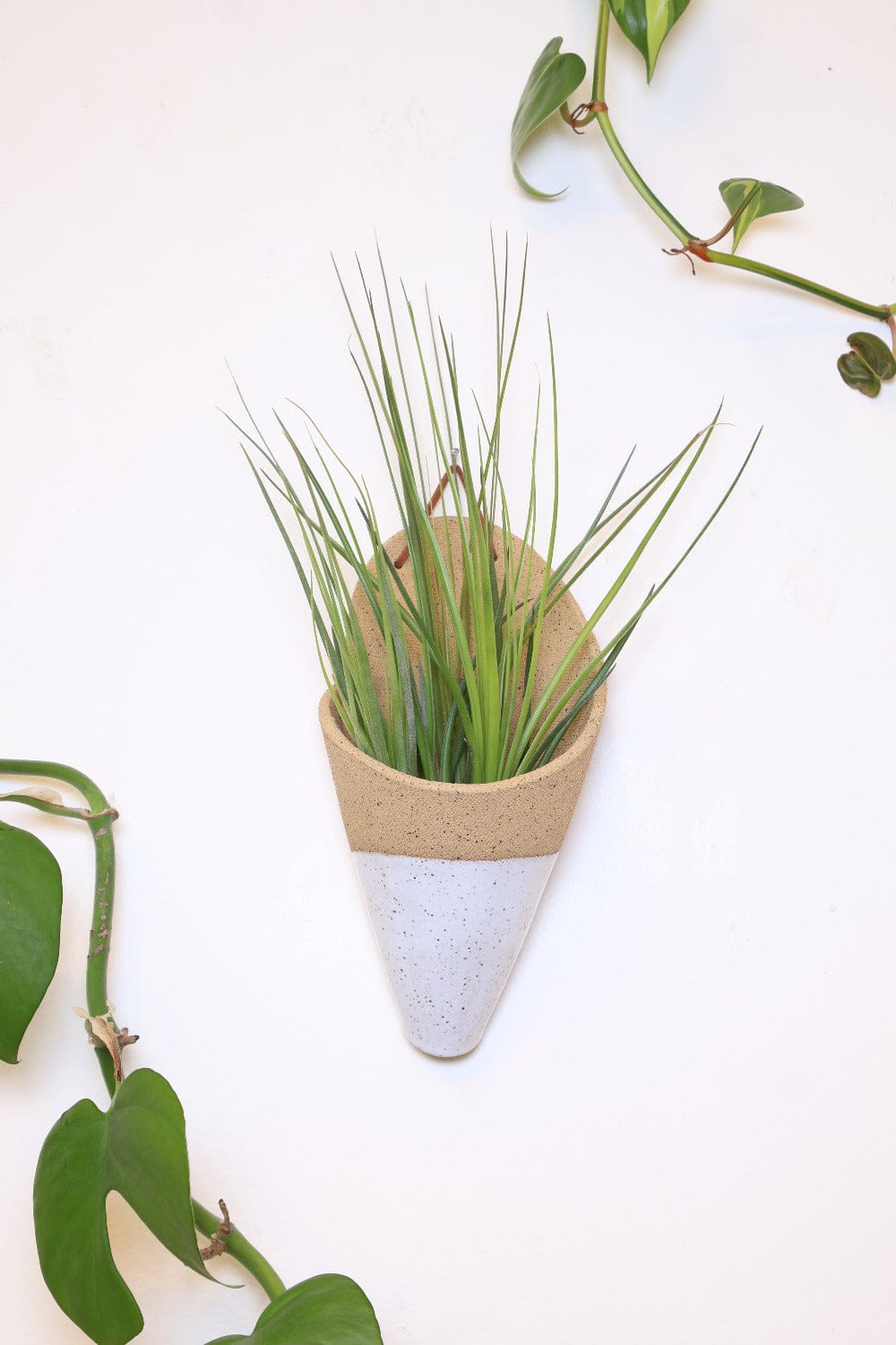Carter + Rose Speckled White / With plant Large Ceramic Wall Planter