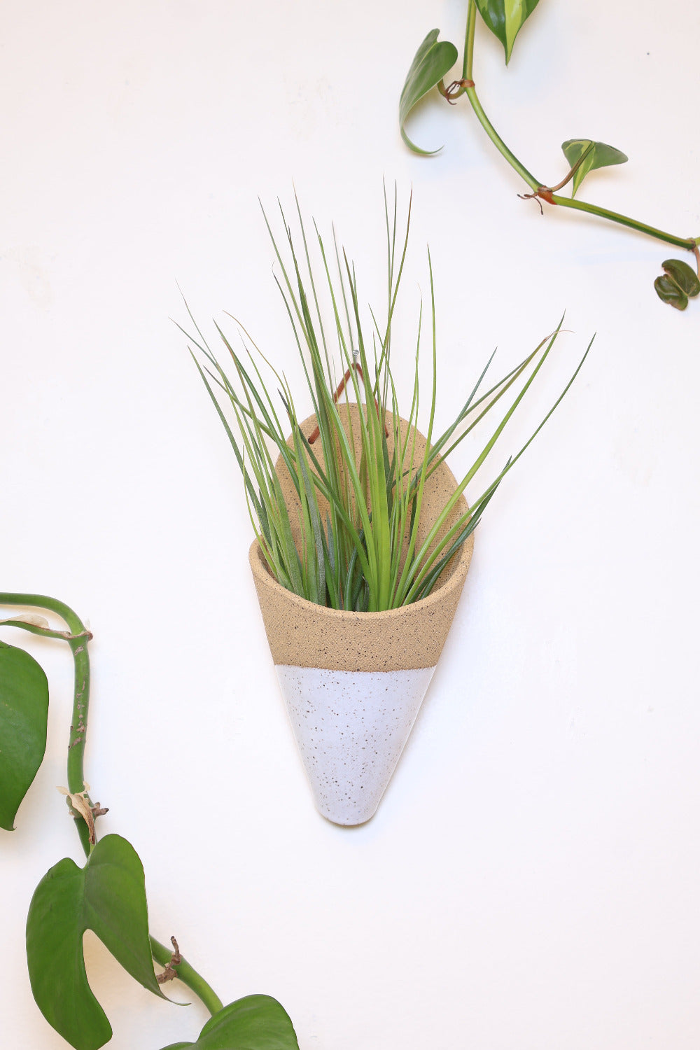 Large Ceramic Wall Planter
