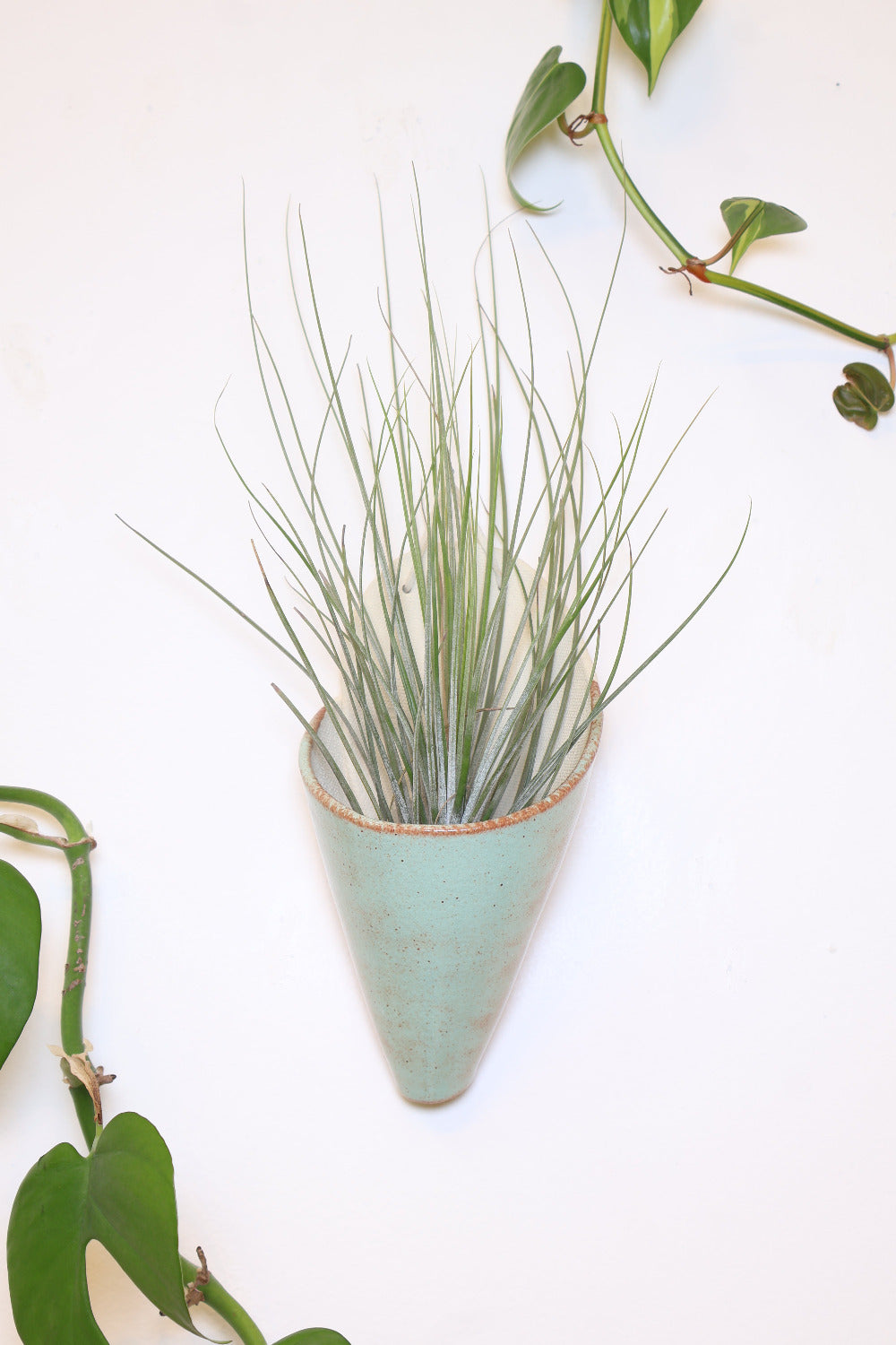 Large Ceramic Wall Planter