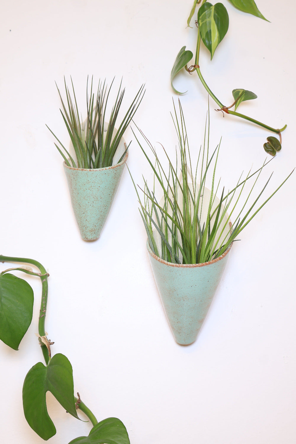 Medium Ceramic Wall Planter