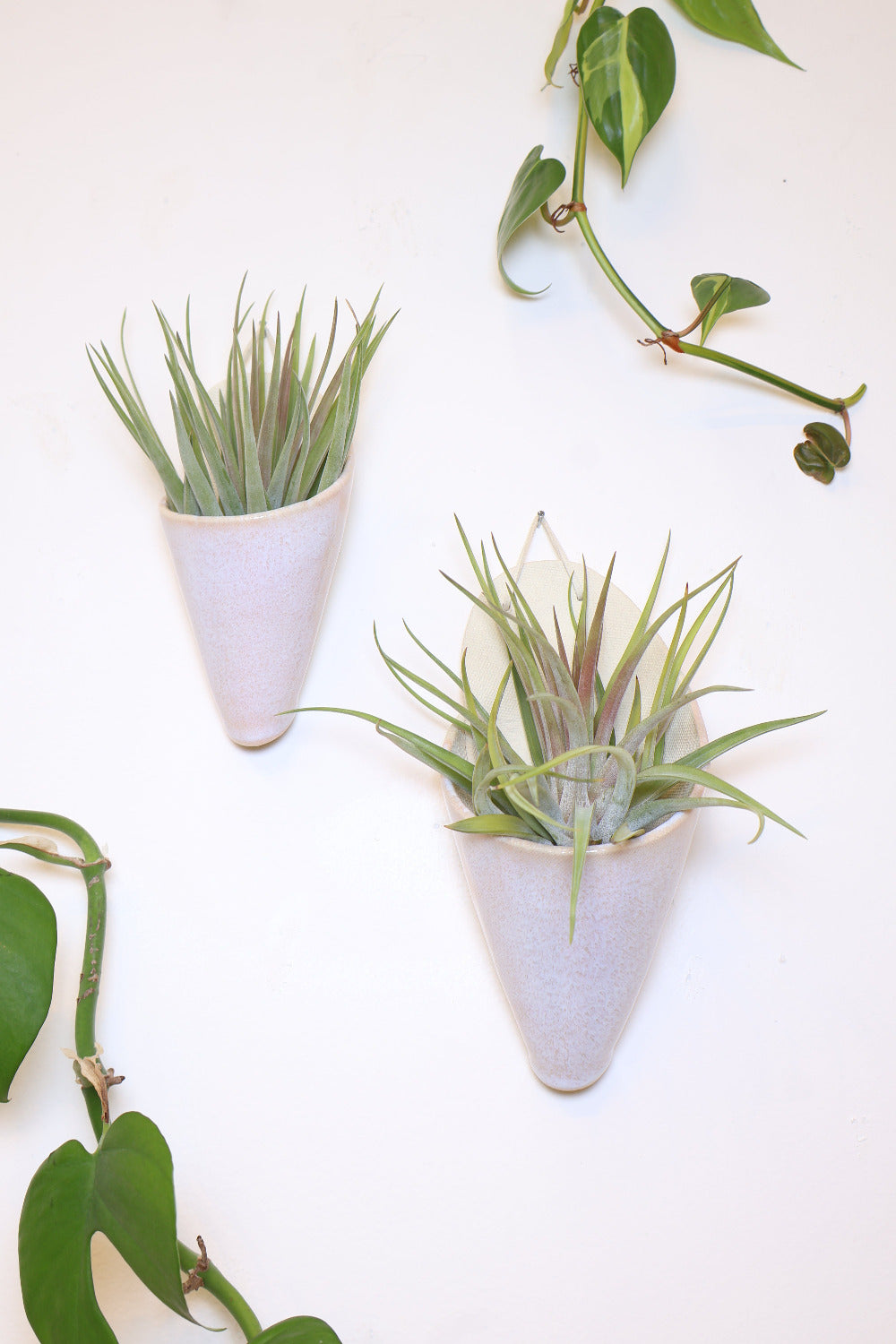 Large Ceramic Wall Planter