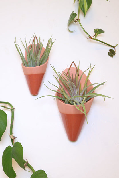 Large Ceramic Wall Planter
