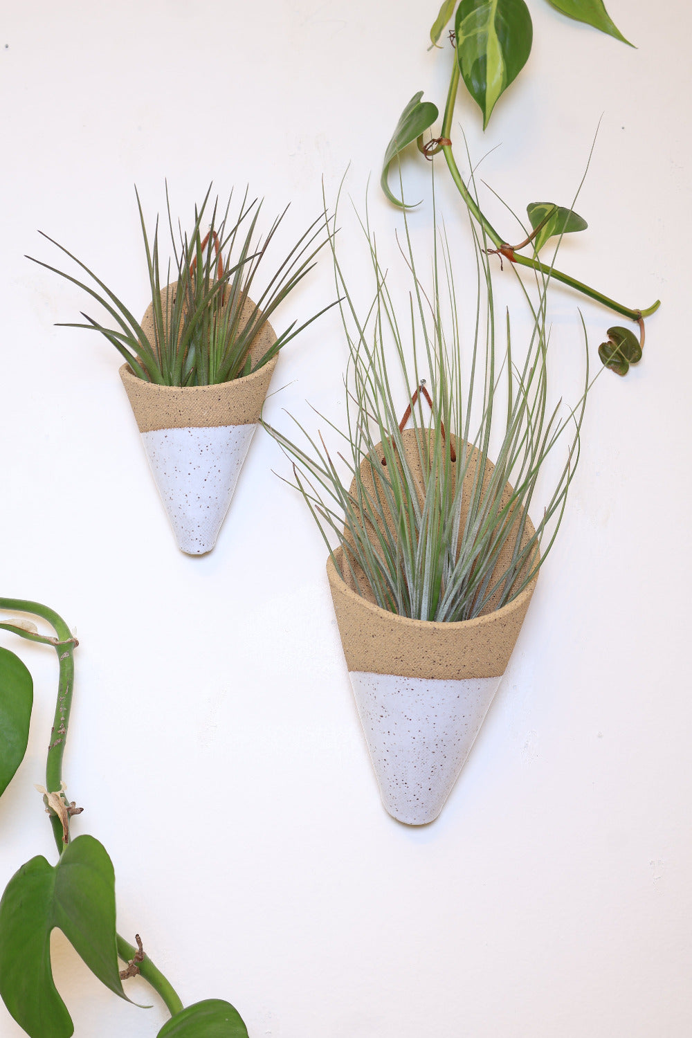 Medium Ceramic Wall Planter
