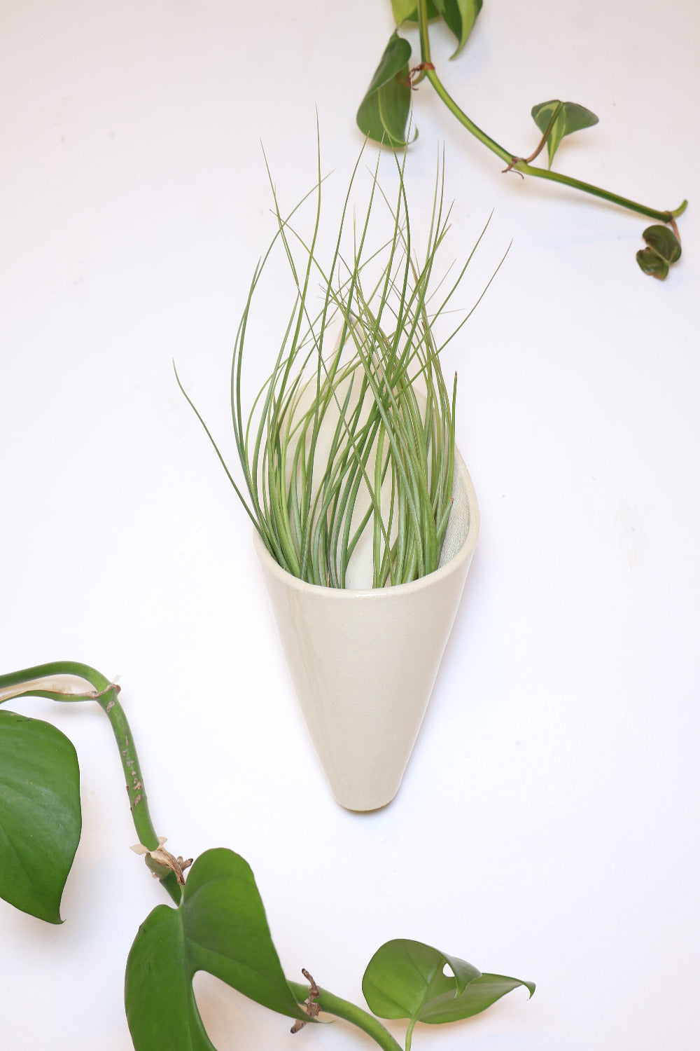 Large Ceramic Wall Planter