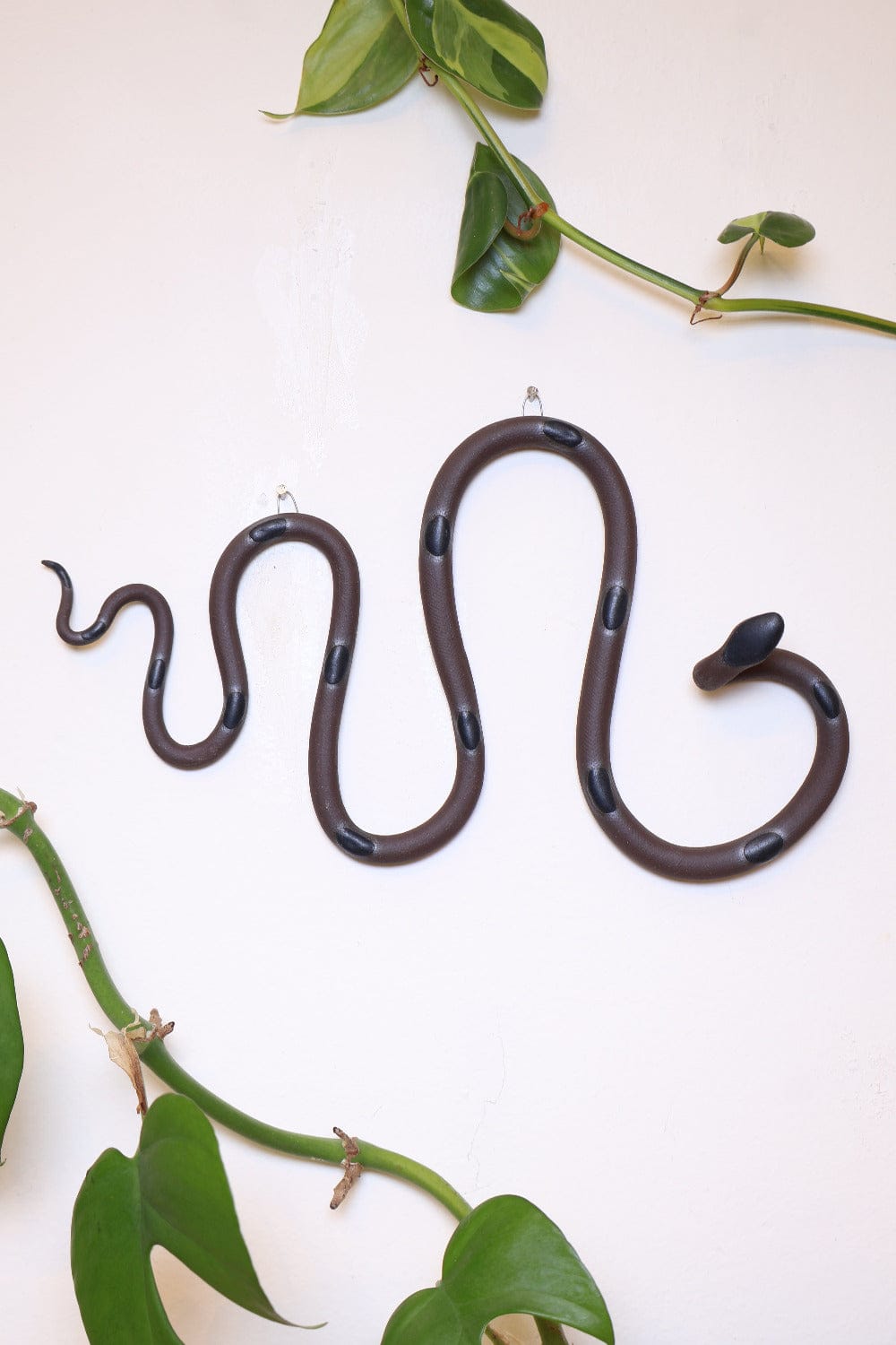 Carter + Rose Saul Horizontal Ceramic Wall Snake