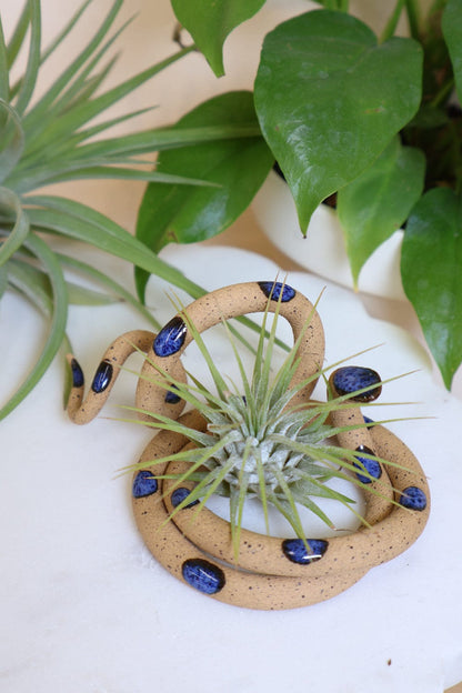 Carter + Rose Selena / With plant Medium Ceramic Snake